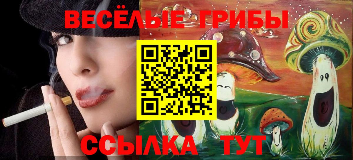 Ставрополь  Псилоцибиновые грибы прущие грибы  закладки  Вход с VPN 